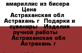амариллис из бисера › Цена ­ 1 300 - Астраханская обл., Астрахань г. Подарки и сувениры » Изделия ручной работы   . Астраханская обл.,Астрахань г.